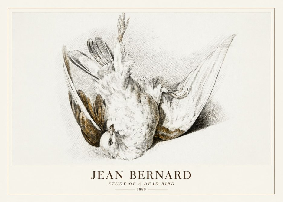 Jean Bernard Study of a Dead Bird No3 - Plakát