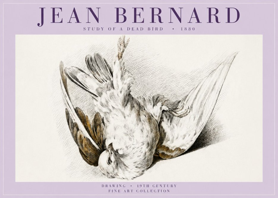 Jean Bernard Study of a Dead Bird No5 - Plakát