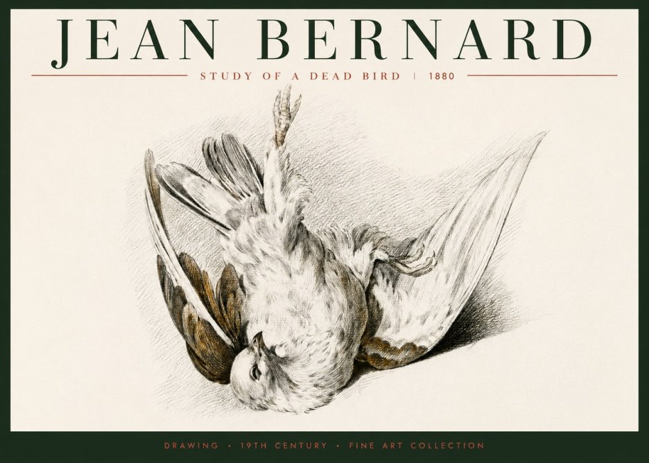 Jean Bernard Study of a Dead Bird No6 - Plakát