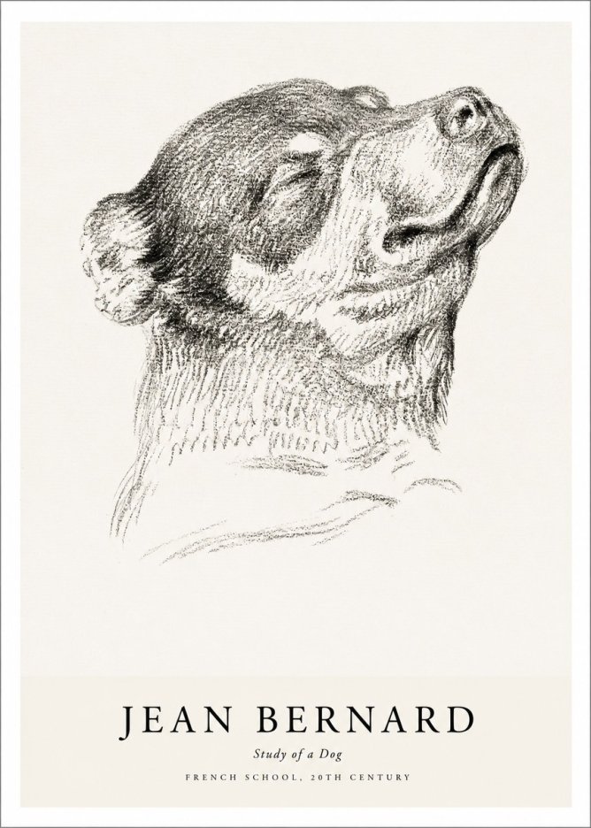 Jean Bernard Study of a Dog III No1 - Plakát