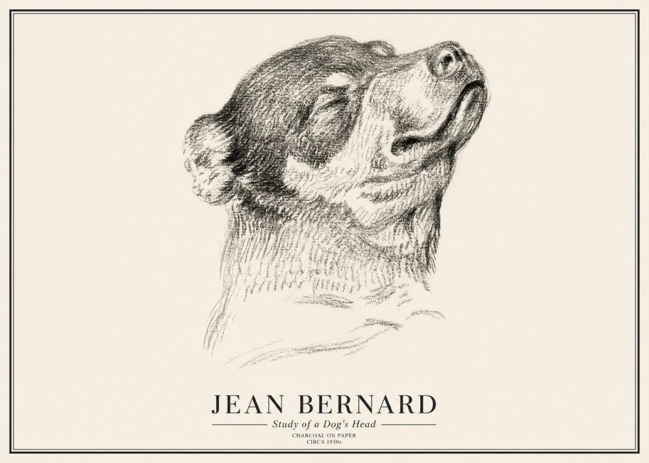 Jean Bernard Study of a Dog III No3 - Plakát
