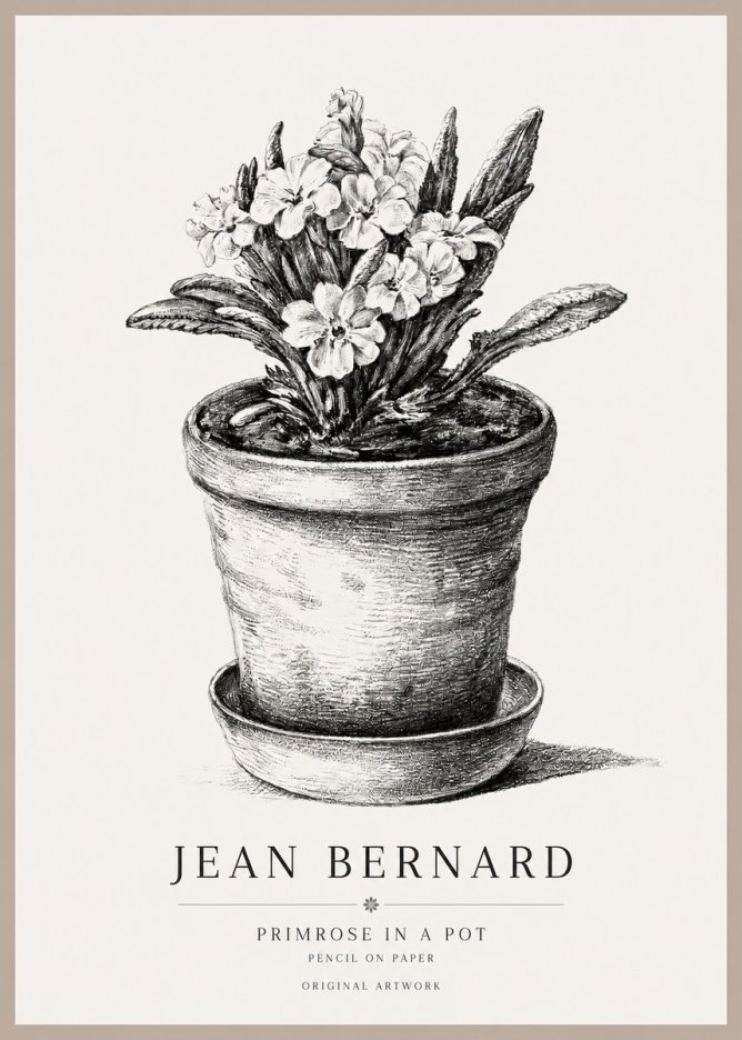 Jean Bernard Potted Primrose No2 - Plakát