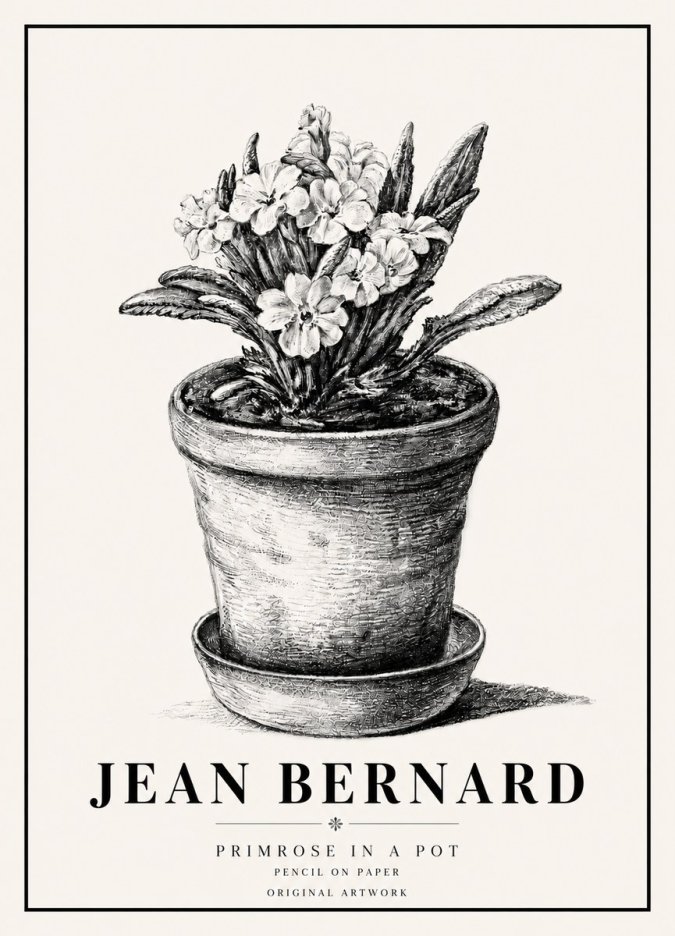 Jean Bernard Potted Primrose No6 - Plakát