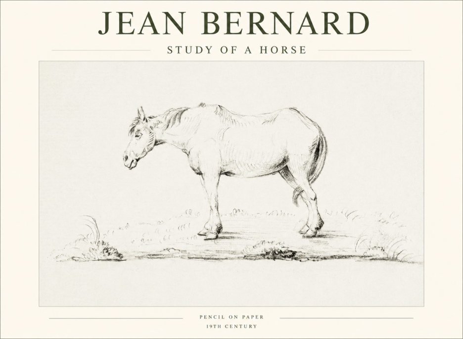 Jean Bernard Study of a Horse IX No1 - Plakát