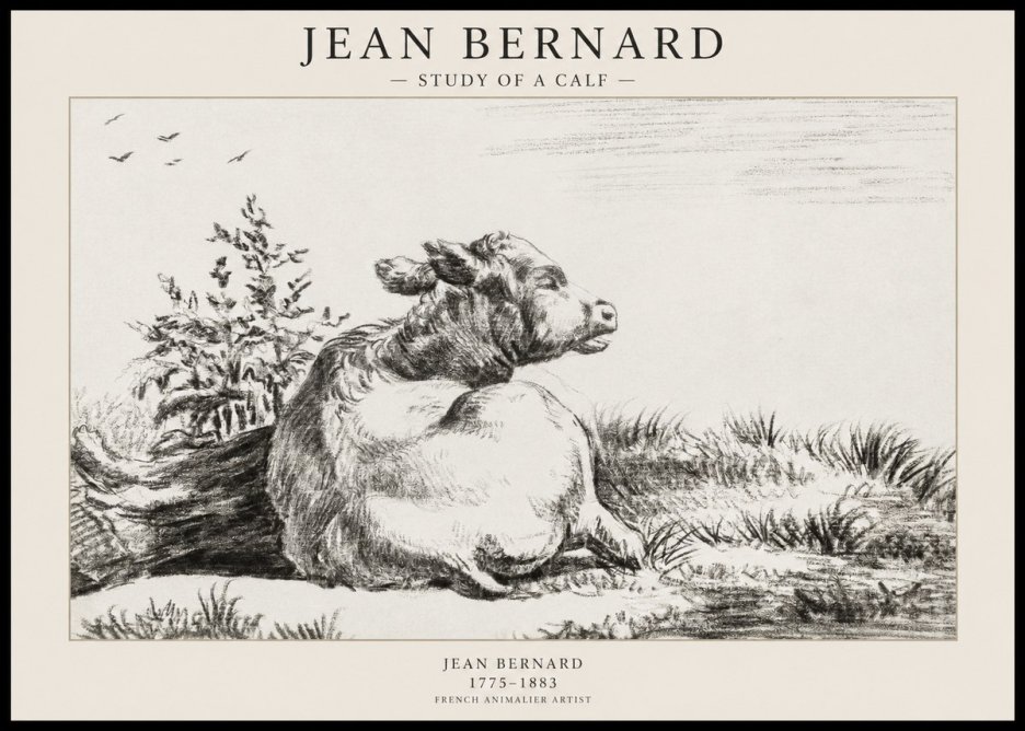 Jean Bernard Study of a Calf III No1 - Plakát