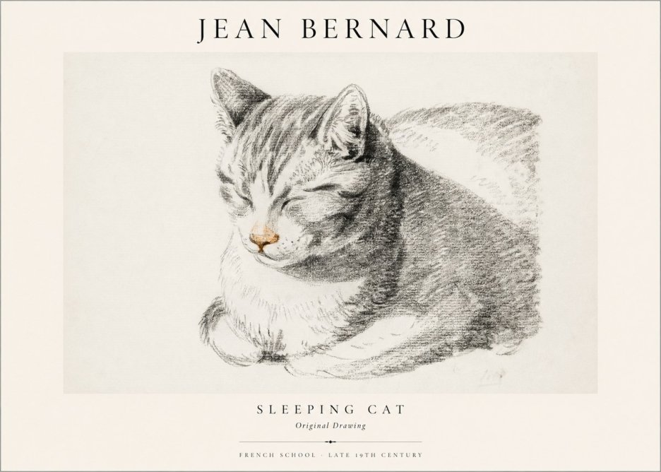 Jean Bernard Sleeping Cat VI No1 - Plakát