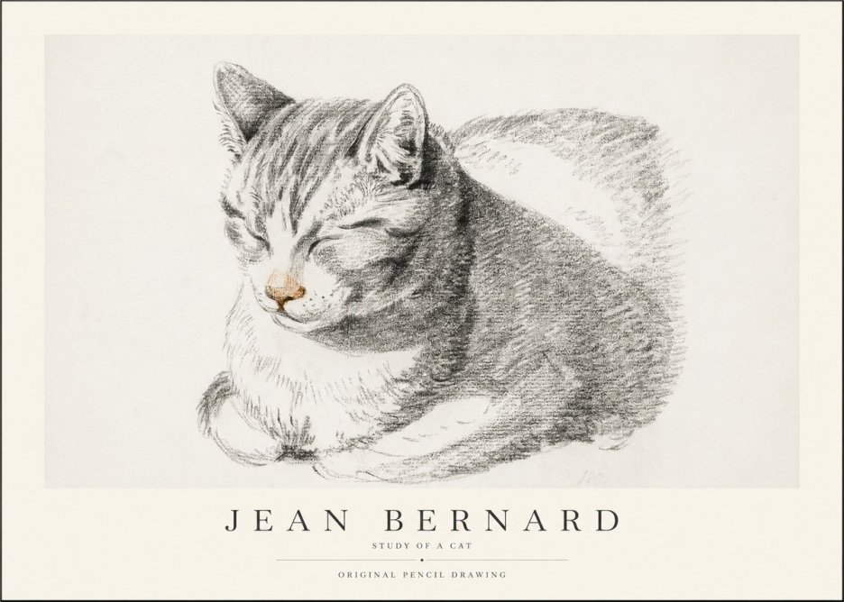 Jean Bernard Sleeping Cat VI No2 - Plakát