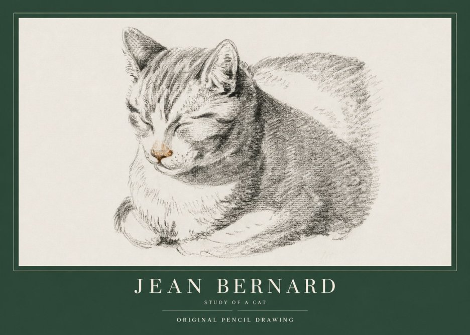 Jean Bernard Sleeping Cat VI No4 - Plakát