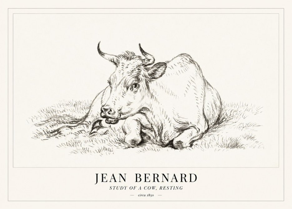 Jean Bernard Study of a Cow, Resting No1 - Plakát