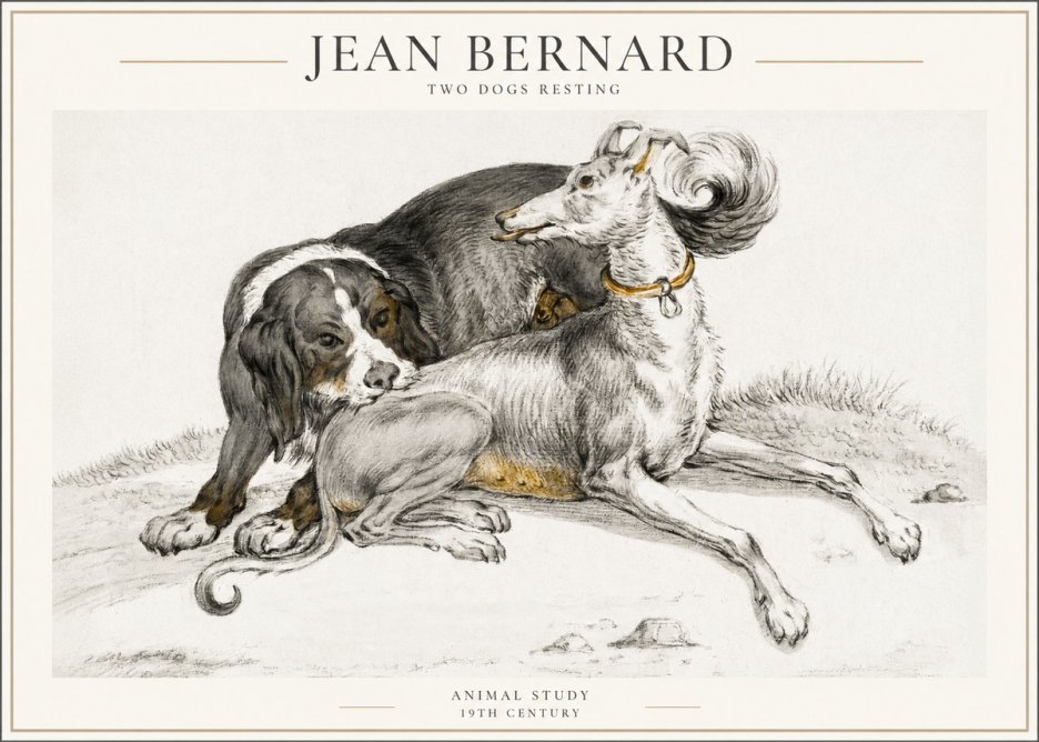 Jean Bernard Two Dogs Resting No4 - Plakát