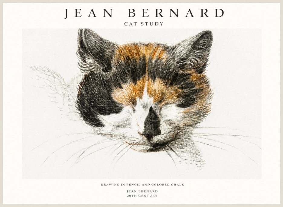 Jean Bernard Cat Study VIII No1 - Plakát