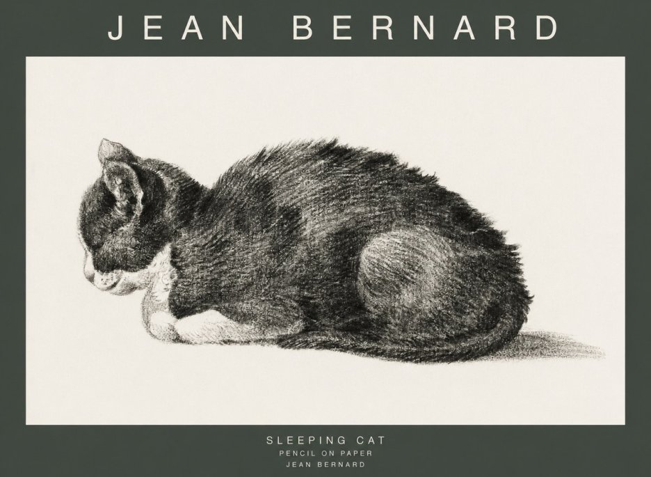 Jean Bernard Sleeping Cat VII No1 - Plakát