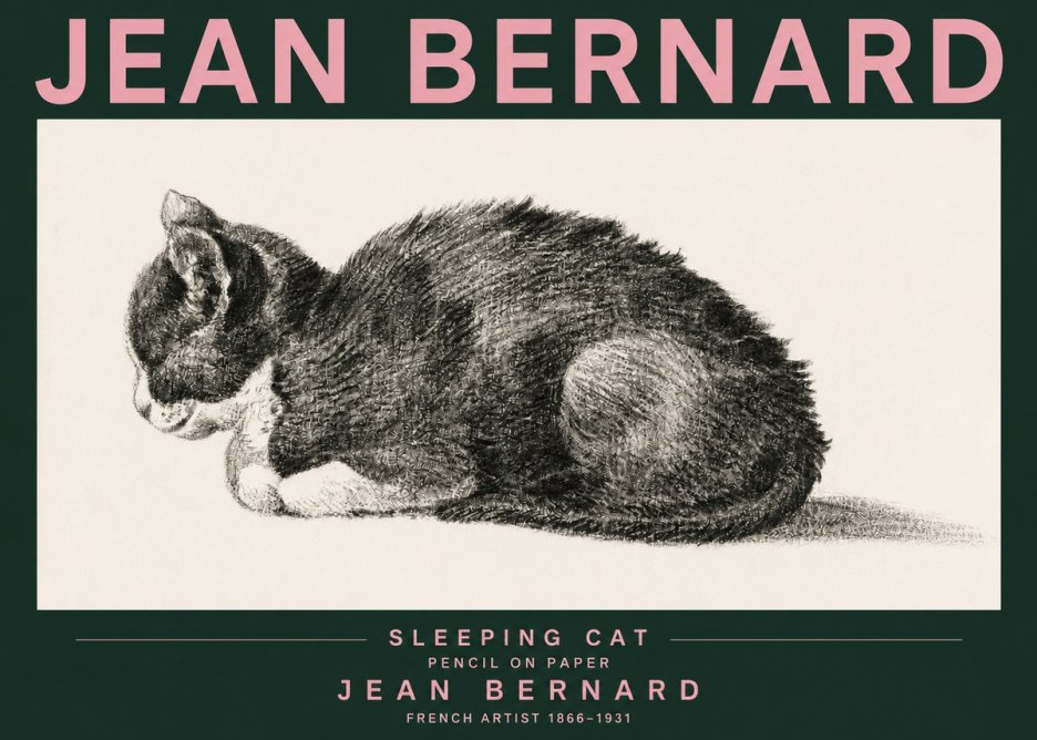 Jean Bernard Sleeping Cat VII No3 - Plakát