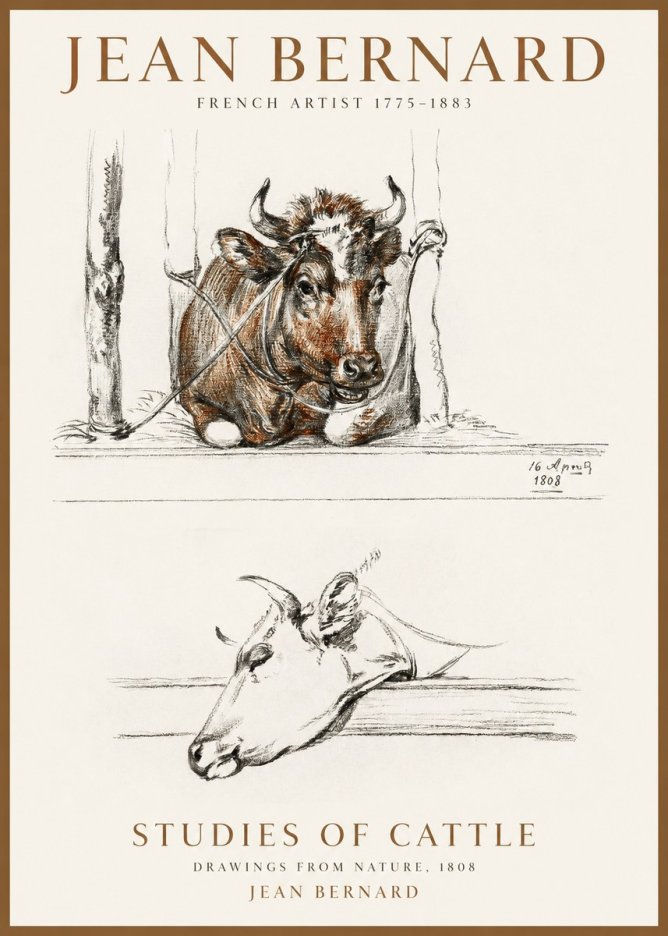 Jean Bernard Studies of Cattle III No1 - Plakát