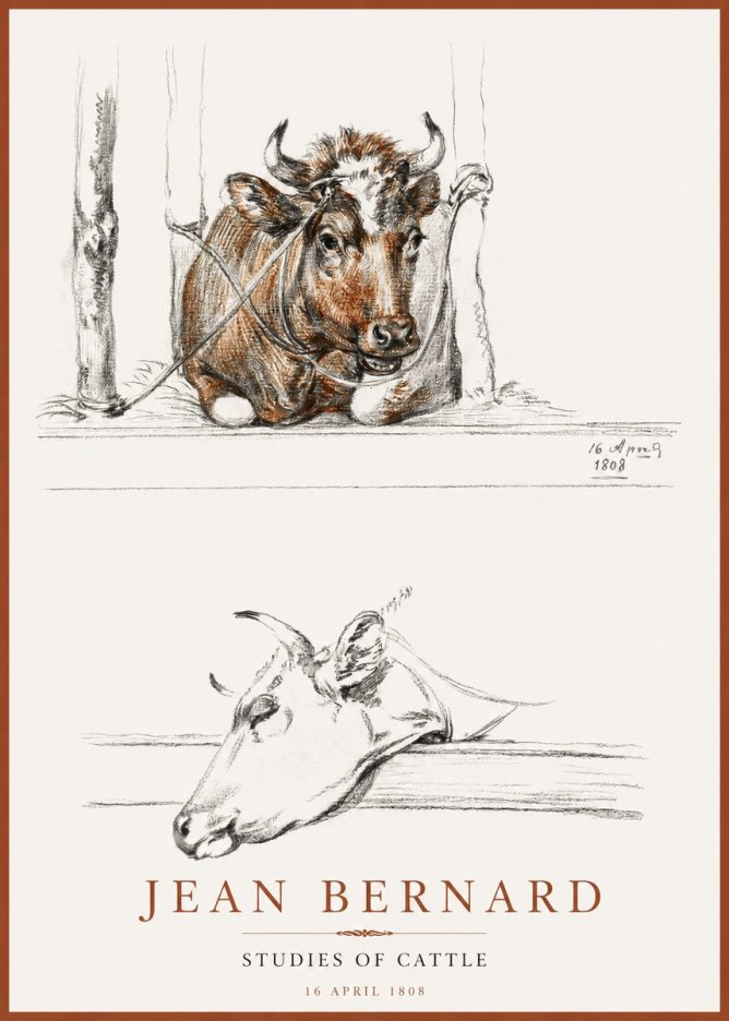 Jean Bernard Studies of Cattle III No2 - Plakát