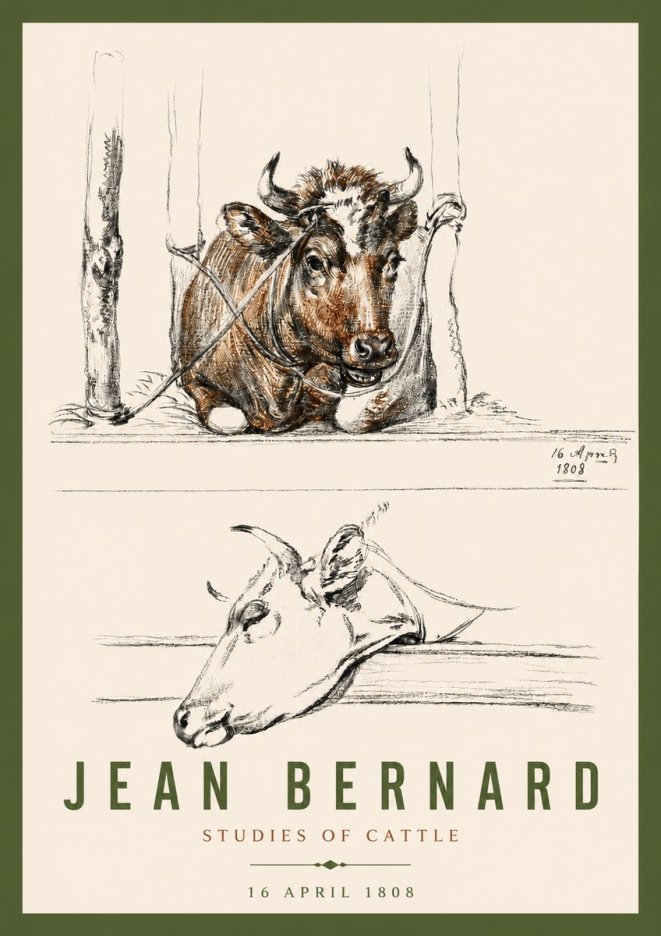Jean Bernard Studies of Cattle III No4 - Plakát