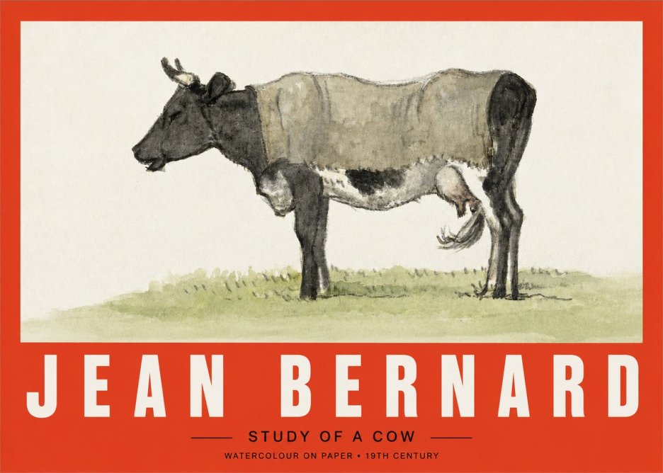 Jean Bernard Study of a Cow IX No2 - Plakát