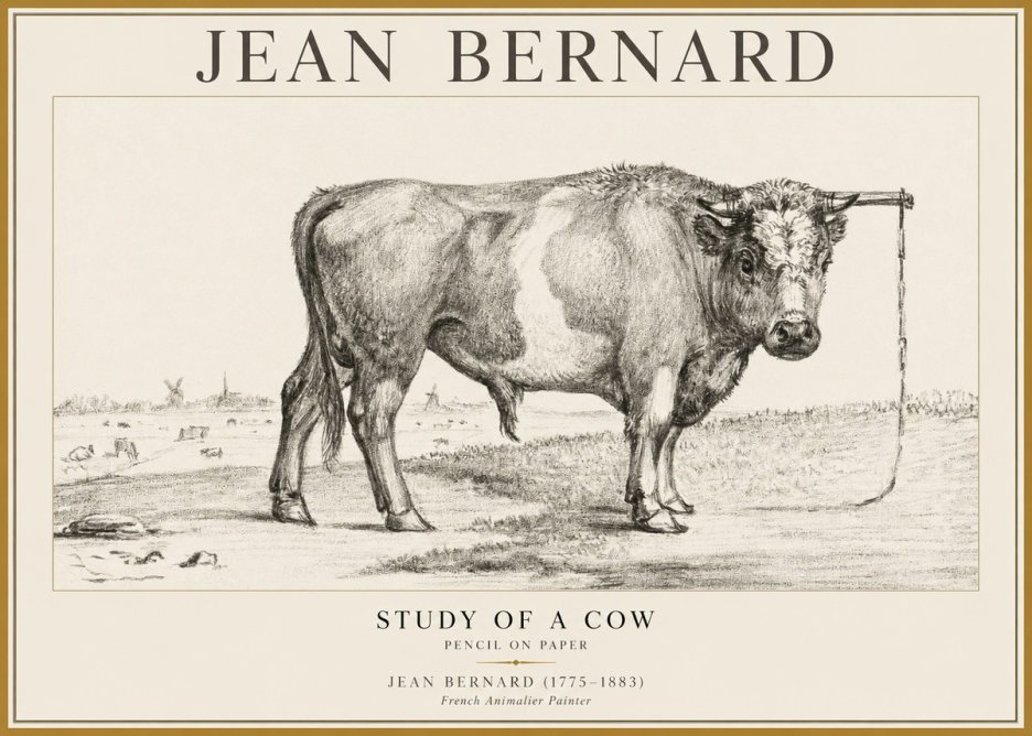 Jean Bernard Study of a Bull III No5 - Plakát
