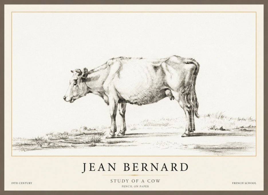 Jean Bernard Study of a Cow XI No1 - Plakát