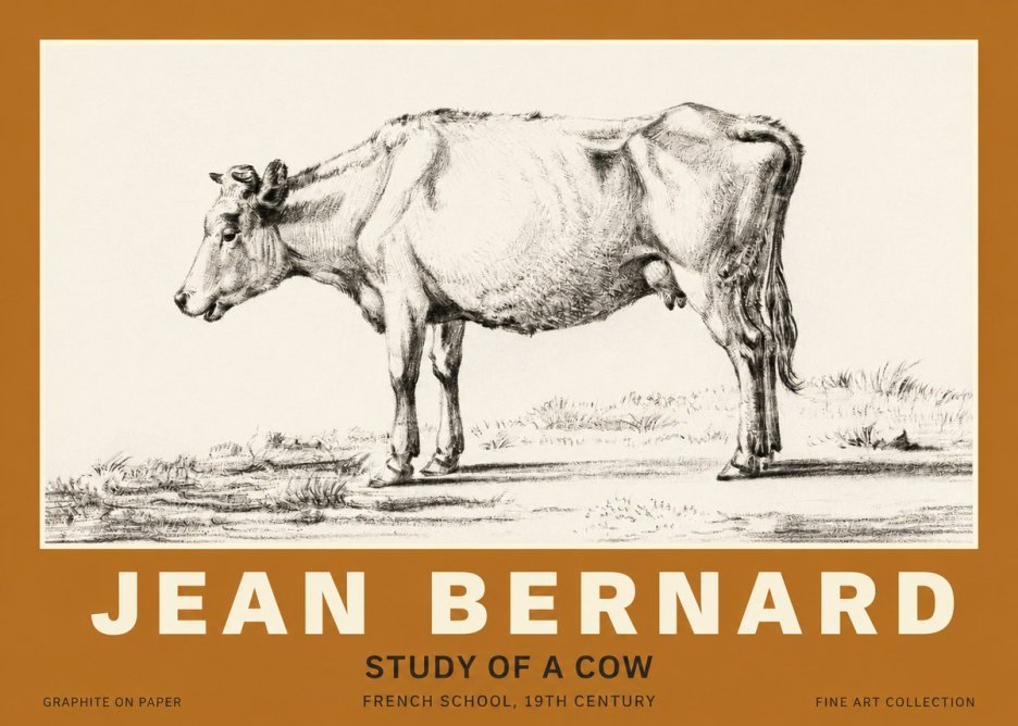 Jean Bernard Study of a Cow XI No3 - Plakát