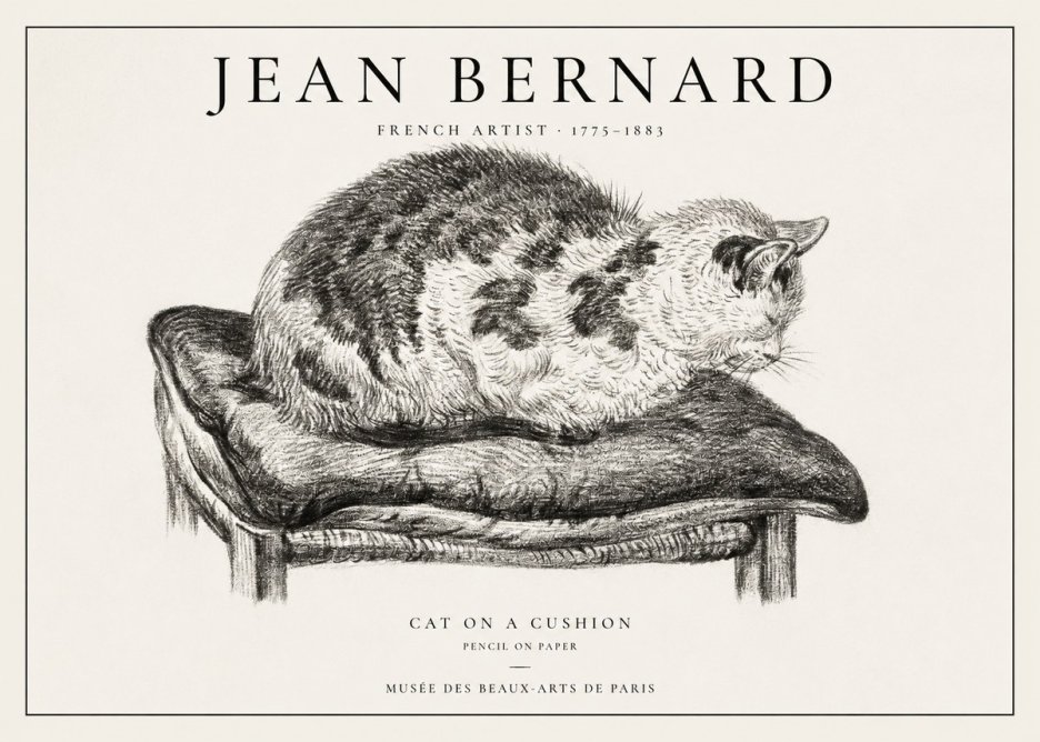 Jean Bernard Cat on a Cushion No1 - Plakát