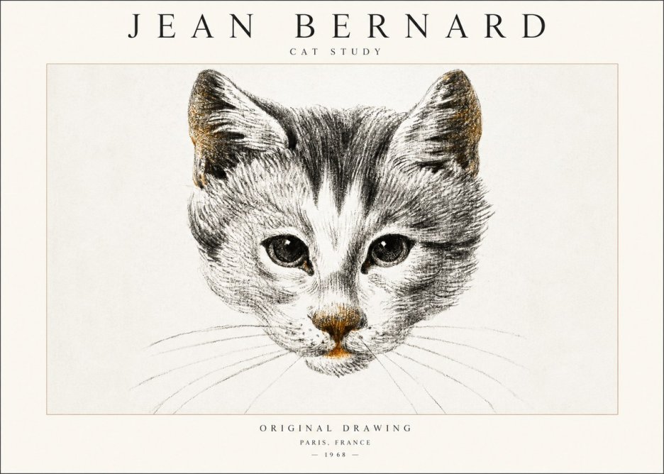 Jean Bernard Cat Study IX No6 - Plakát