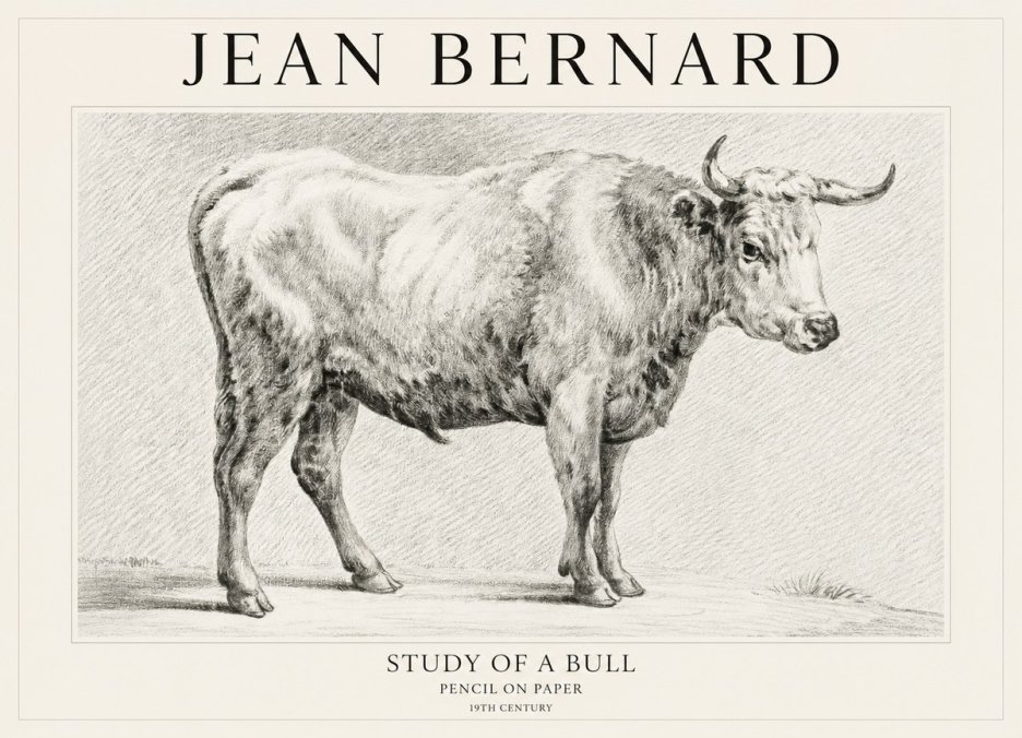 Jean Bernard Study of a Bull IV No1 - Plakát
