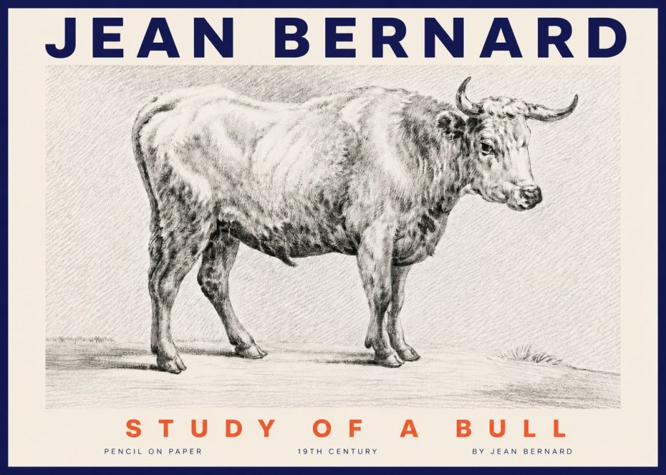 Jean Bernard Study of a Bull IV No4 - Plakát