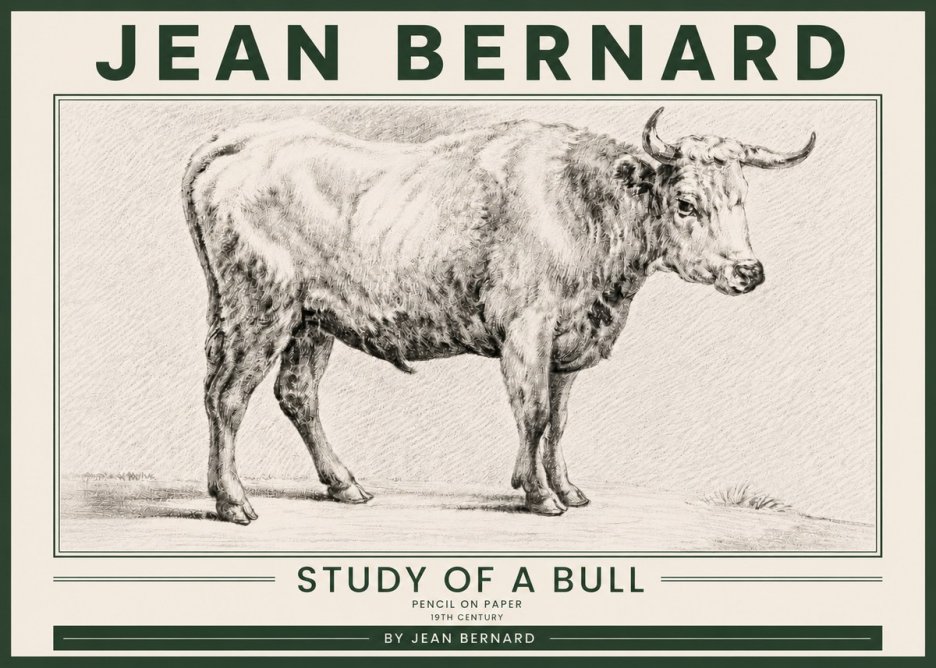 Jean Bernard Study of a Bull IV No5 - Plakát