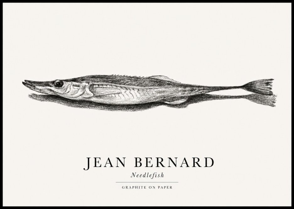 Jean Bernard Needlefish No1 - Plakát