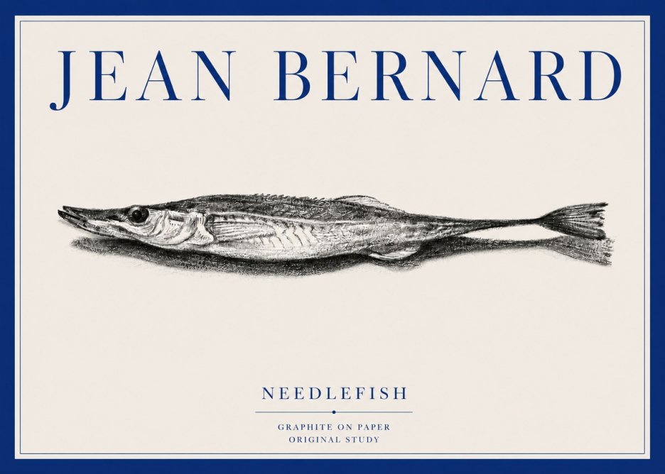 Jean Bernard Needlefish No3 - Plakát