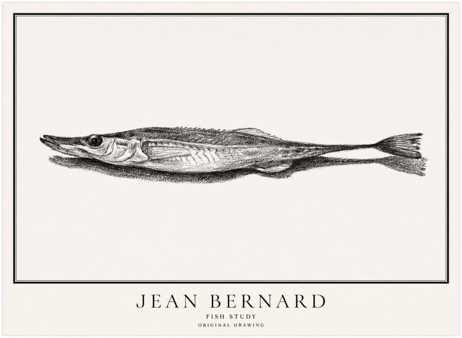 Jean Bernard Needlefish No5 - Plakát