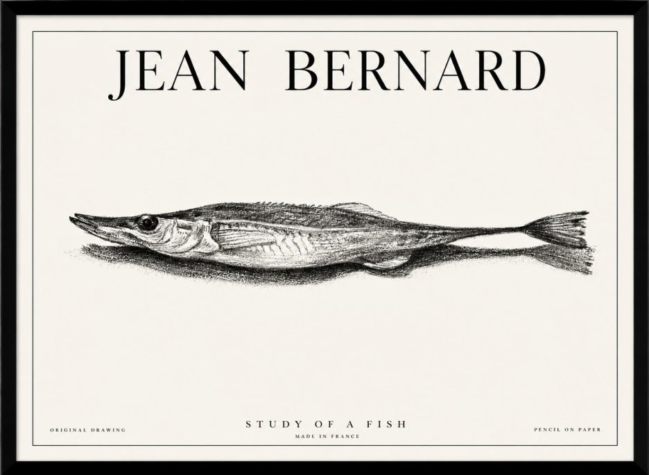 Jean Bernard Needlefish No6 - Plakát