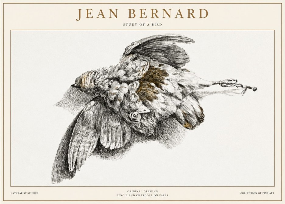Jean Bernard Study of a Bird III No1 - Plakát