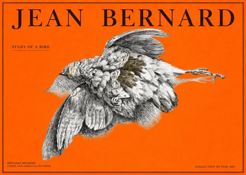 Jean Bernard Study of a Bird III No2 - Plakát