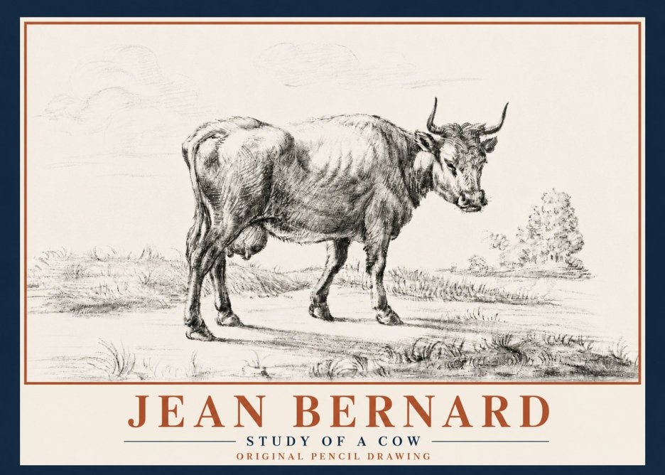 Jean Bernard Study of a Cow XII No5 - Plakát