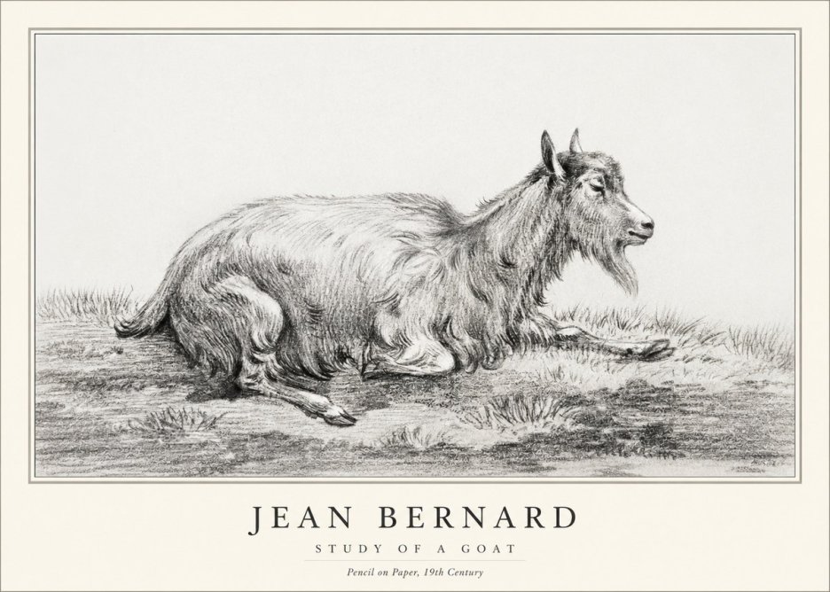 Jean Bernard Study of a Goat V No1 - Plakát