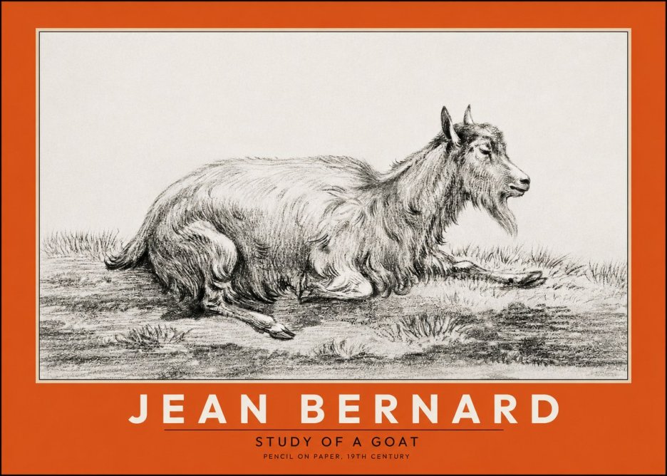 Jean Bernard Study of a Goat V No2 - Plakát