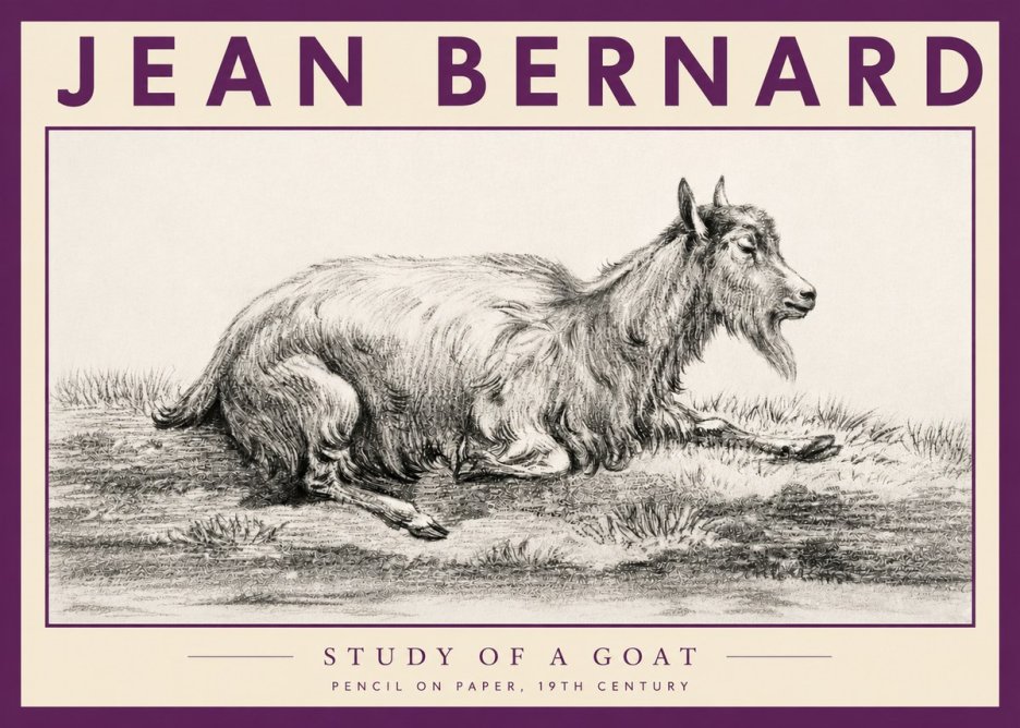 Jean Bernard Study of a Goat V No3 - Plakát