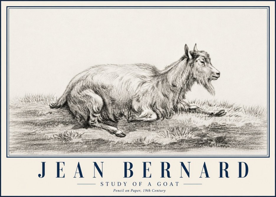 Jean Bernard Study of a Goat V No5 - Plakát