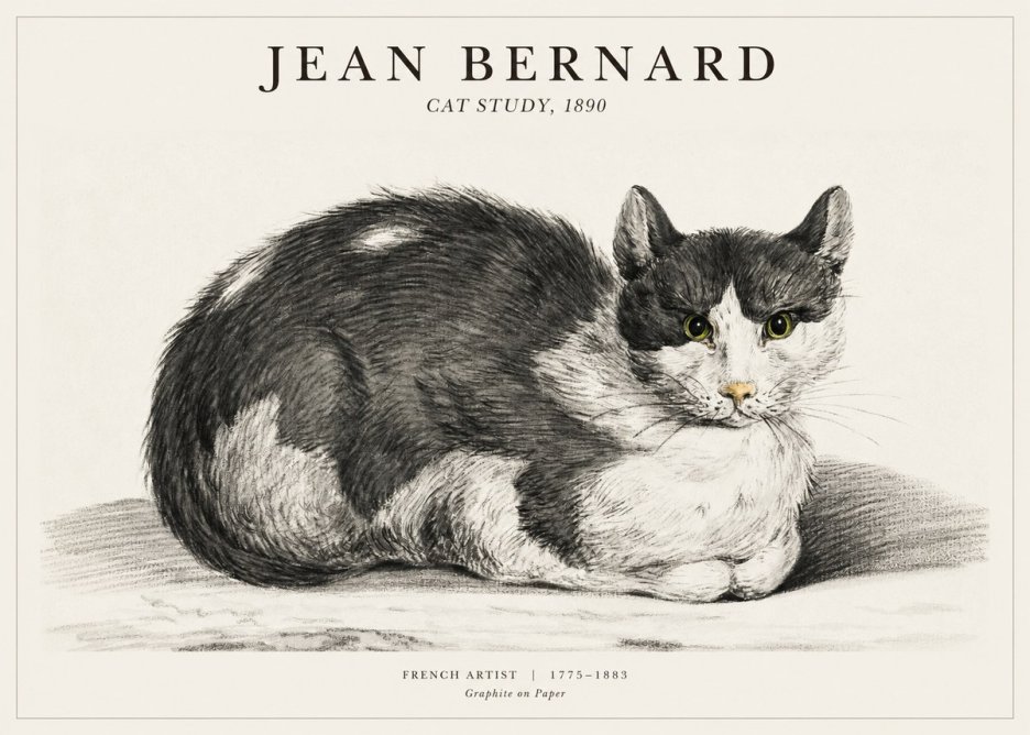 Jean Bernard Cat Resting No3 - Plakát