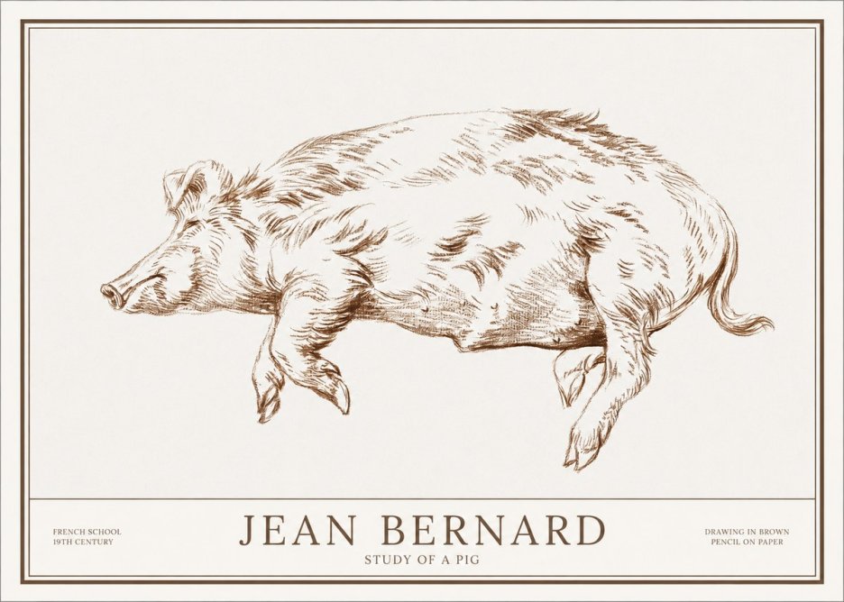 Jean Bernard Study of a Pig II No1 - Plakát