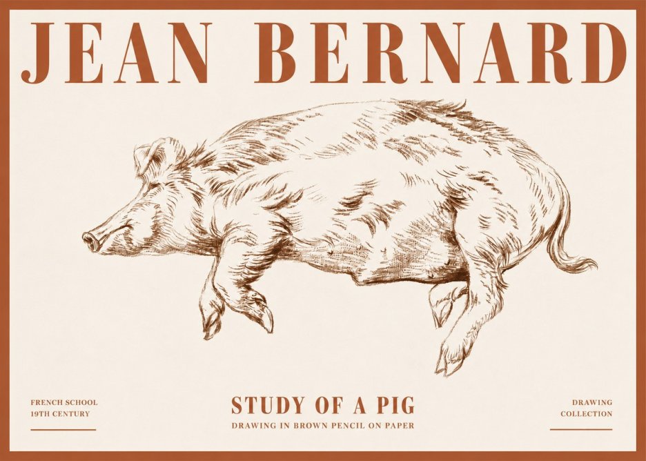 Jean Bernard Study of a Pig II No4 - Plakát