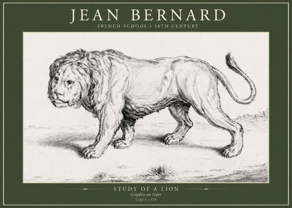 Jean Bernard Study of a Lion II No5 - Plakát