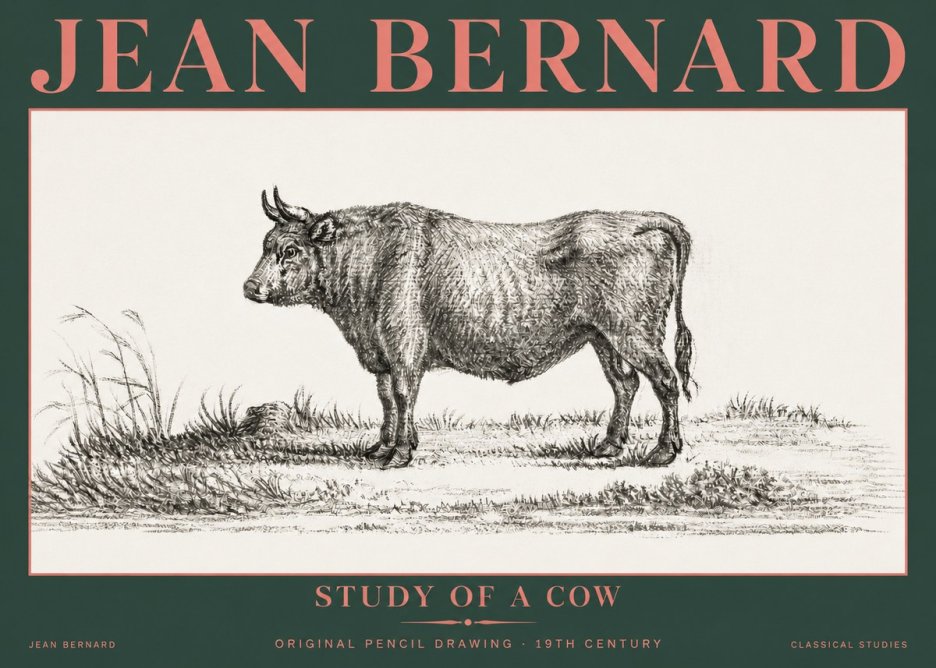Jean Bernard Study of a Cow XIII No5 - Plakát