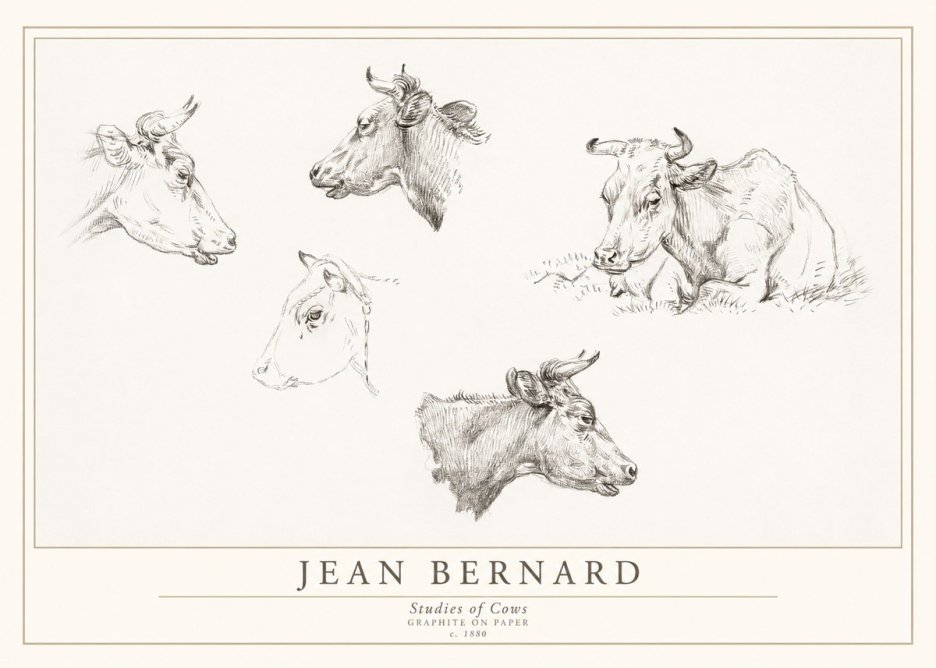 Jean Bernard Studies of Cows I No1 - Plakát