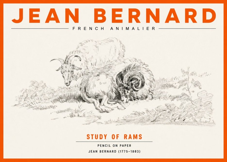 Jean Bernard Study of Sheep No3 - Plakát