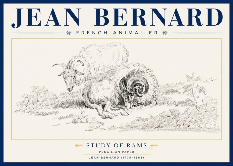 Jean Bernard Study of Sheep No4 - Plakát