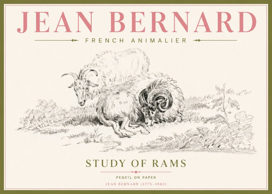 Jean Bernard Study of Sheep No5 - Plakát