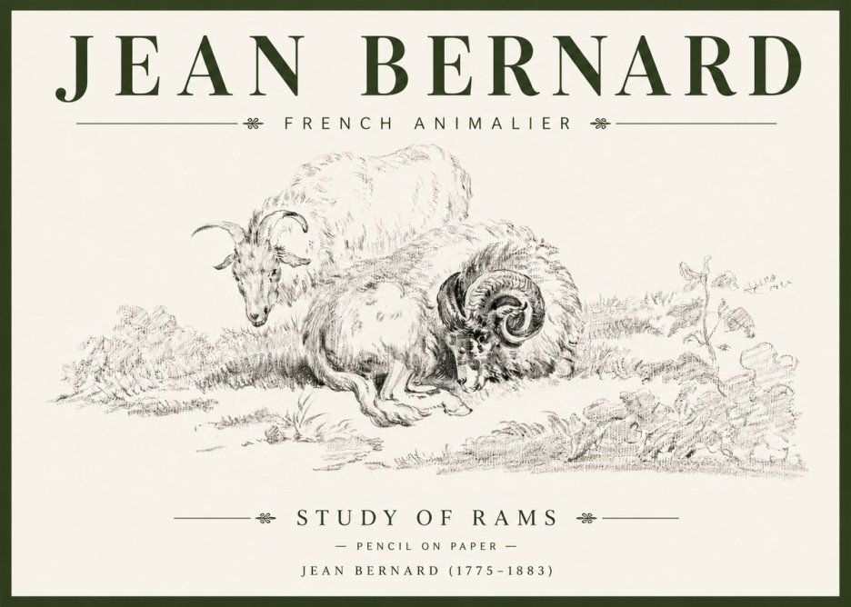 Jean Bernard Study of Sheep No6 - Plakát